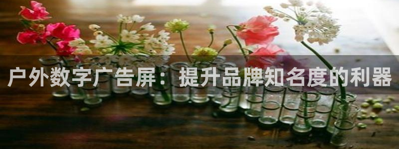杏宇平台开户