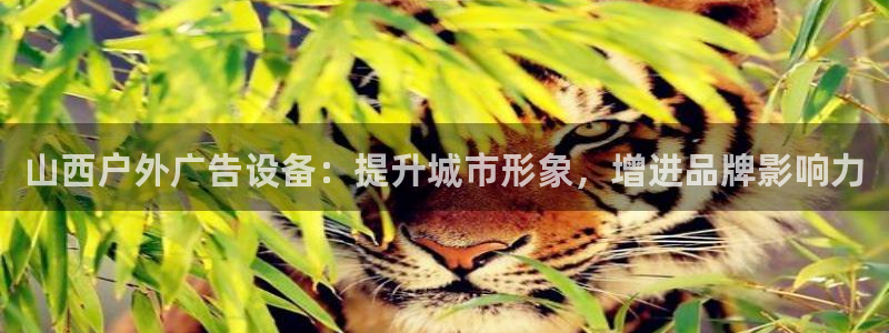 杏宇平台开户