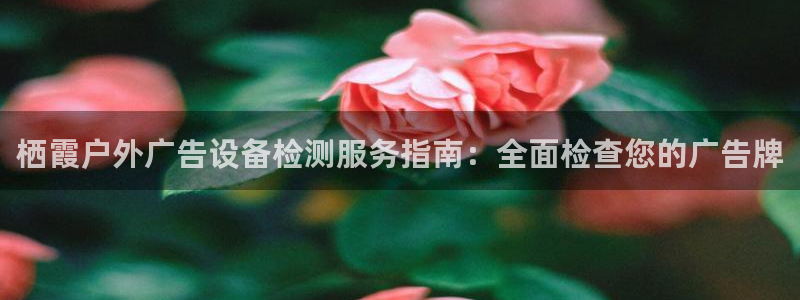 杏宇平台招商怎么样：栖霞户外广告设备检测服务指南：全面检查您的广告牌