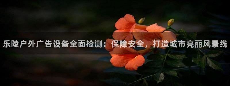 杏宇平台登陆