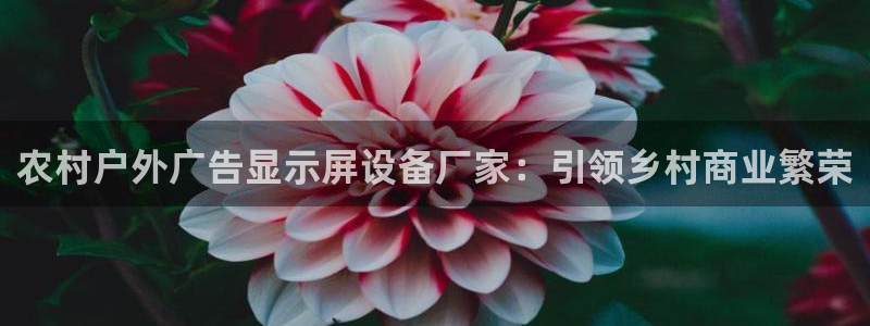 杏宇平台代理怎么赚钱的：农村户外广告显示屏设备厂家：引领乡村商业繁荣