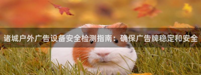 杏宇平台代理怎么赚钱快：诸城户外广告设备安全检测指南：确保广告牌稳定和安全