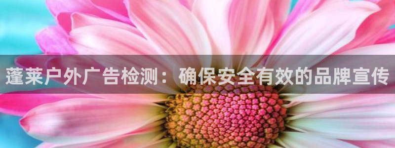 杏宇平台注册地址：蓬莱户外广告检测：确保安全有效的品牌宣传