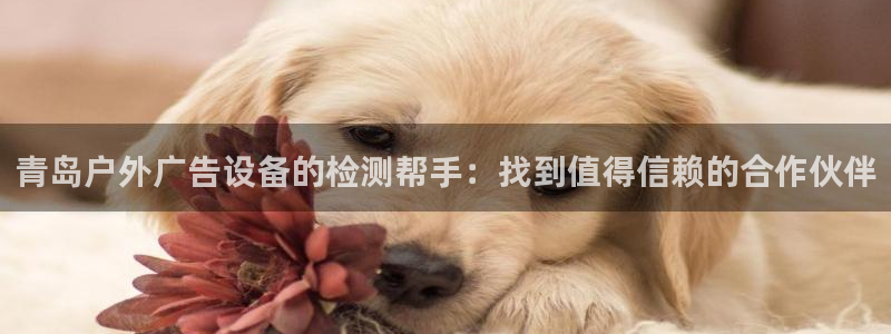 杏宇平台代理怎么样啊