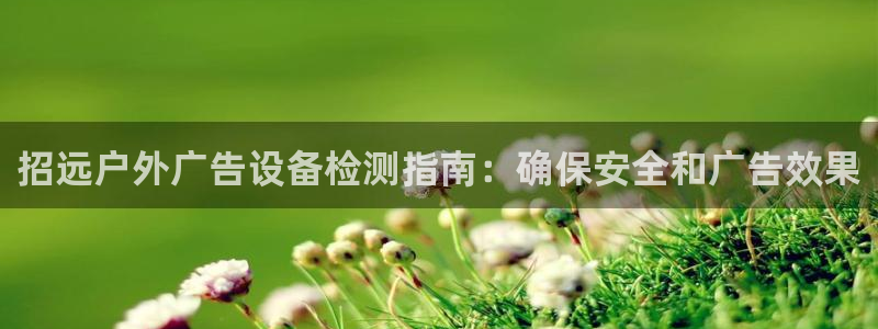 杏宇平台是什么