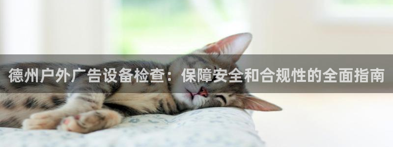 杏宇平台代理多少钱一次：德州户外广告设备检查：保障安全和合规性的全面指南