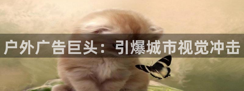 杏宇平台怎么样赚钱