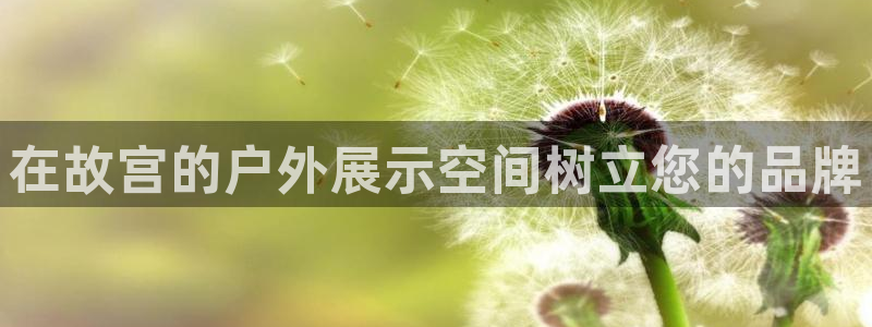 杏宇平台代理怎么样：在故宫的户外展示空间树立您的品牌