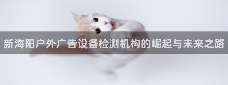 杏宇平台好吗：新海阳户外广告设备检测机构的崛起与未来之路