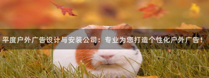 杏宇平台代理多少钱一个月：平度户外广告设计与安装公司：专业为您打造个性化户外广告！