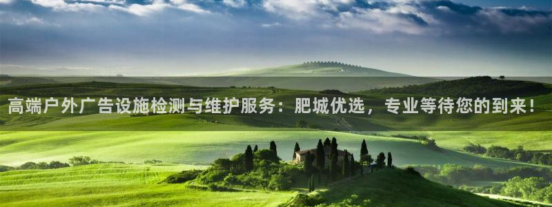 杏宇平台总代理：高端户外广告设施检测与维护服务：肥城优选，专业等待您的到来！