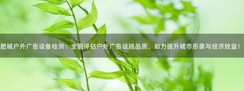 杏宇代理注册：肥城户外广告设备检测：全面评估户外广告设施品质，助力提升城市形象与经济效益！