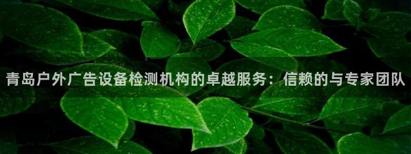 杏宇代理注册：青岛户外广告设备检测机构的卓越服务：信赖的与专家团队