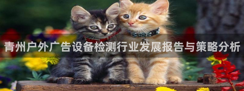 杏宇平台注册地址：青州户外广告设备检测行业发展报告与策略分析