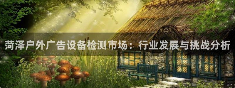 杏宇平台客服：菏泽户外广告设备检测市场：行业发展与挑战分析