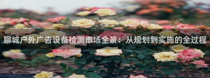 杏宇平台主管：聊城户外广告设备检测市场全景：从规划到实施的全过程
