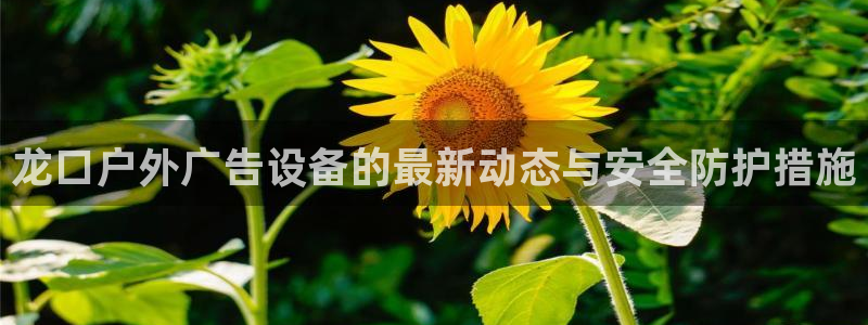 杏宇官方平台官网：龙口户外广告设备的最新动态与安全防护措施