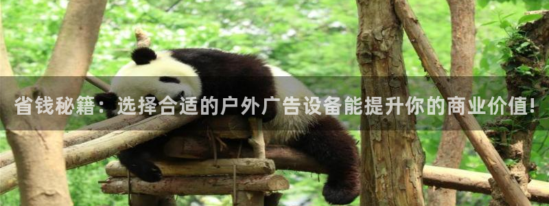杏宇平台客服：省钱秘籍：选择合适的户外广告设备能提升你的商业价值!