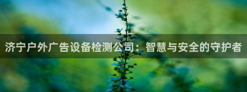 杏宇平台怎么样知乎：济宁户外广告设备检测公司：智慧与安全的守护者