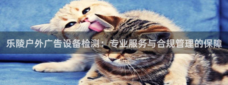杏宇平台代理怎么样：乐陵户外广告设备检测：专业服务与合规管理的保障