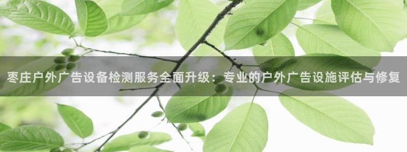 杏宇平台主管：枣庄户外广告设备检测服务全面升级：专业的户外广告设施评估与修复