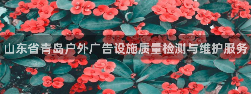 杏宇平台登录步骤图：山东省青岛户外广告设施质量检测与维护服务