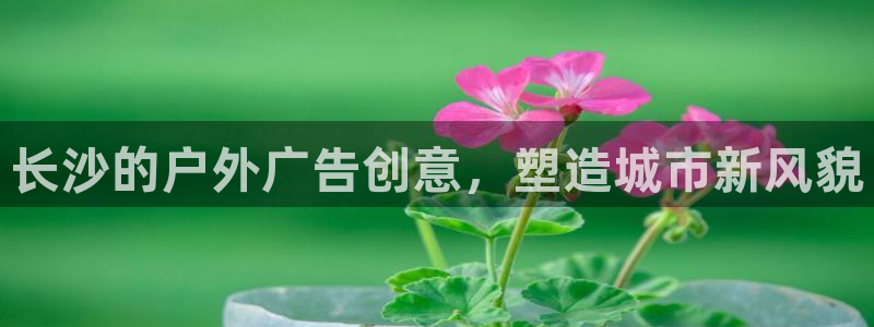 杏宇平台注册地址：长沙的户外广告创意，塑造城市新风貌