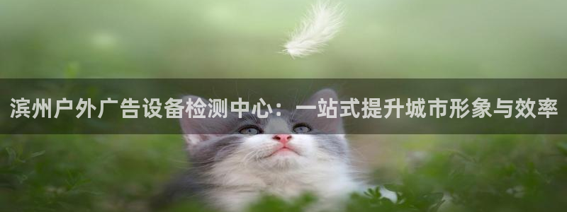 杏宇平台提现为什么这么久呢：滨州户外广告设备检测中心：一站式提升城市形象与效率