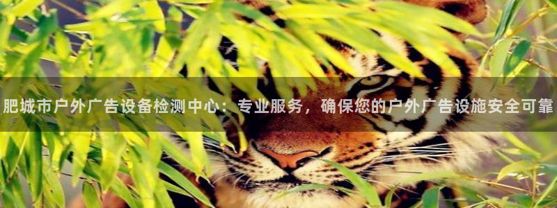 杏宇平台代理怎么赚钱快：肥城市户外广告设备检测中心：专业服务，确保您的户外广告设施安全可靠