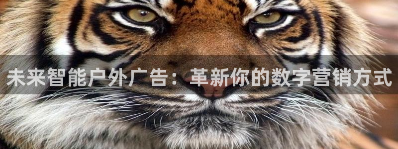 杏宇平台登录步骤是什么：未来智能户外广告：革新你的数字营销方式