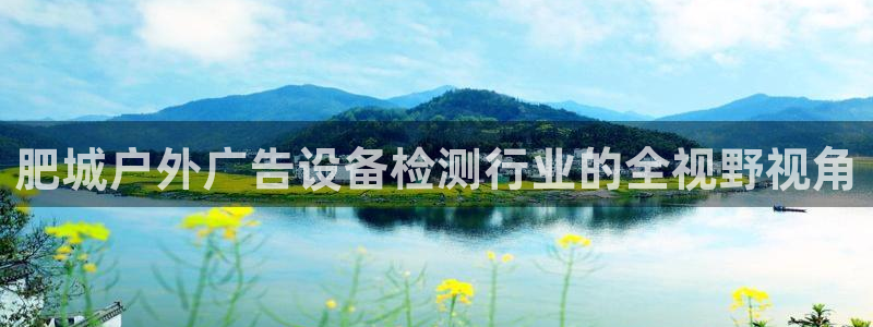 杏宇平台是什么：肥城户外广告设备检测行业的全视野视角