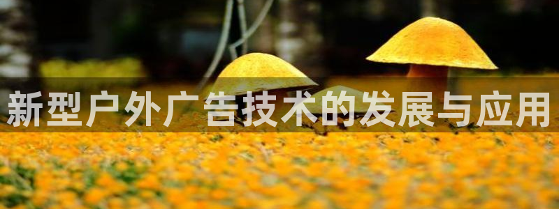 杏宇平台注册登录：新型户外广告技术的发展与应用