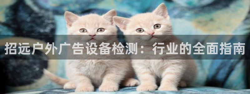 杏宇平台怎么样知乎：招远户外广告设备检测：行业的全面指南