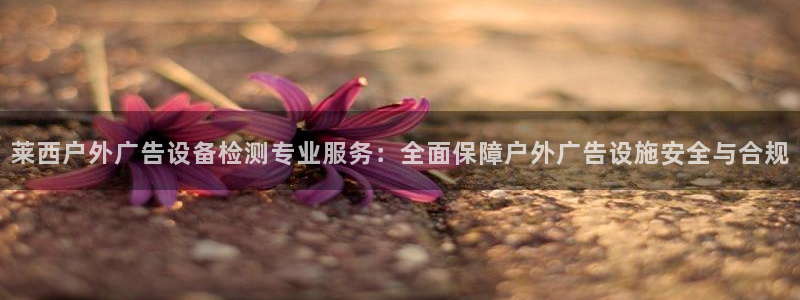 杏宇平台开户：莱西户外广告设备检测专业服务：全面保障户外广告设施安全与合规