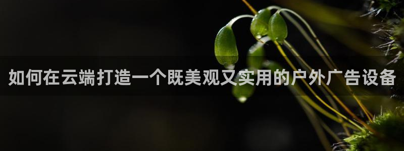 杏宇平台代理怎么样啊：如何在云端打造一个