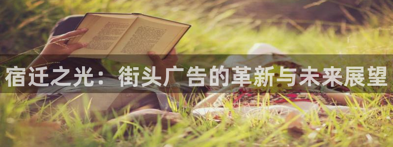 杏宇平台测速链接：宿迁之光：街头广告的革