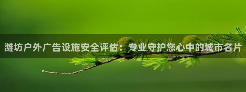 杏宇平台登录步骤：潍坊户外广告设施安全评