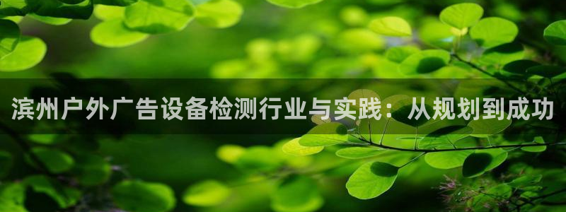 杏宇平台怎么样：滨州户外广告设备检测行业