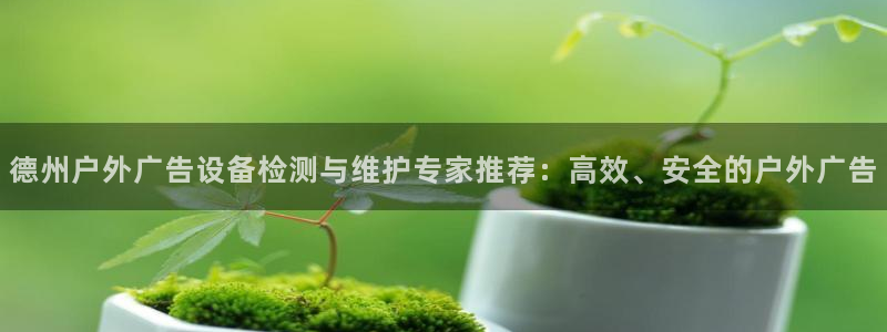 杏宇平台代理怎么样赚钱：德州户外广告设备