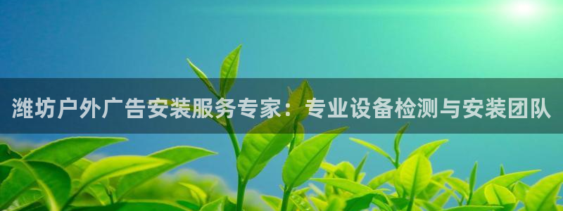 杏宇平台代理怎么样可靠吗：潍坊户外广告安