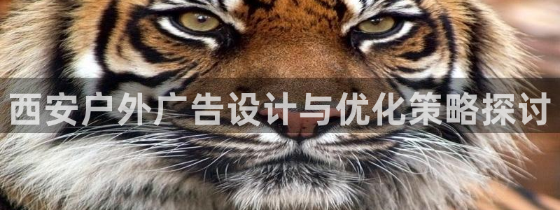 杏宇平台代理怎么样啊：西安户外广告设计与优化策略探讨