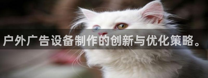 杏宇官方平台官网入口：户外广告设备制作的创新与优化策略。