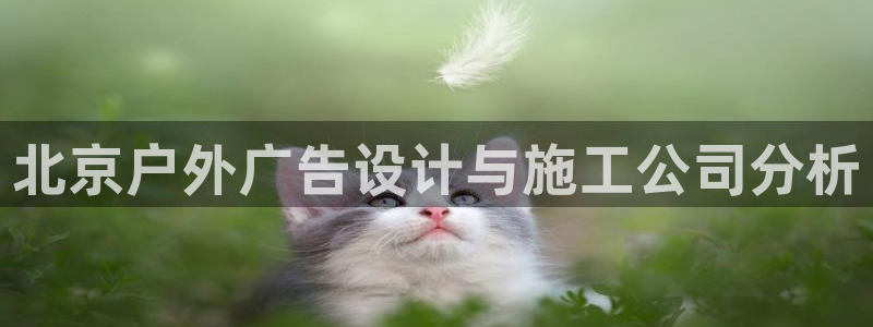 杏宇平台代理怎么赚钱快：北京户外广告设计与施工公司分析