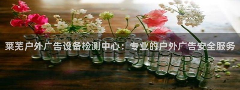 杏宇官方平台官网：莱芜户外广告设备检测中心：专业的户外广告安全服务