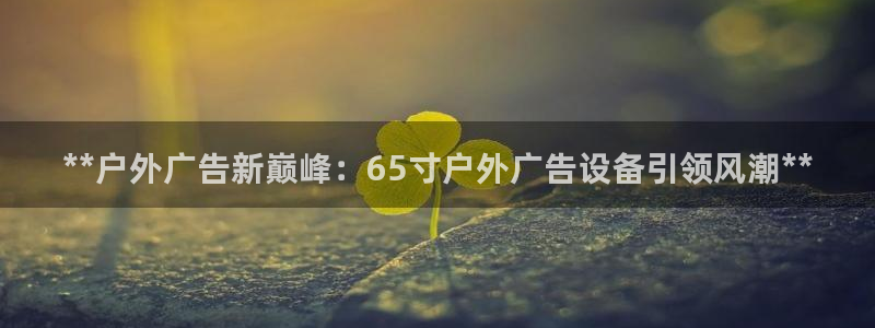 杏宇平台代理多少钱一个月