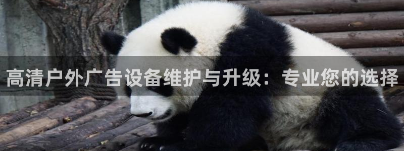 杏宇平台提现为什么这么久呢