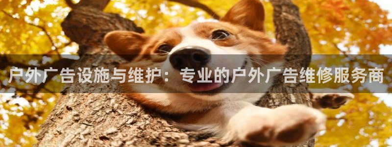 杏宇平台注册登录：户外广告设施与维护：专业的户外广告维修服务商