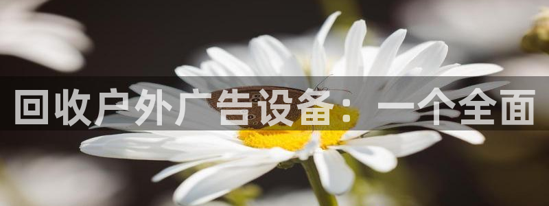 杏宇平台开户