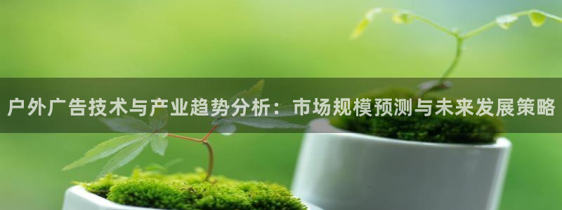 杏宇平台代理多少钱一个月：户外广告技术与产业趋势分析：市场规模预测与未来发展策略