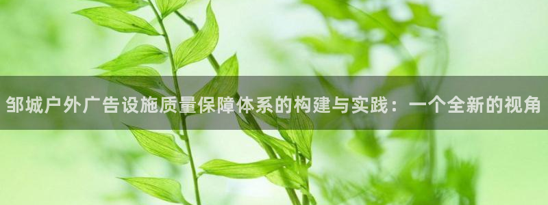 杏宇平台好吗：邹城户外广告设施质量保障体系的构建与实践：一个全新的视角